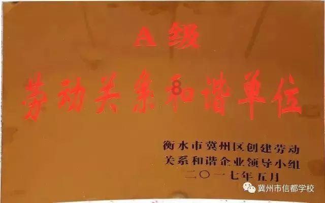 抖音上点关注视频能分享出去吗?知识星球-你的知识分享与交流平台